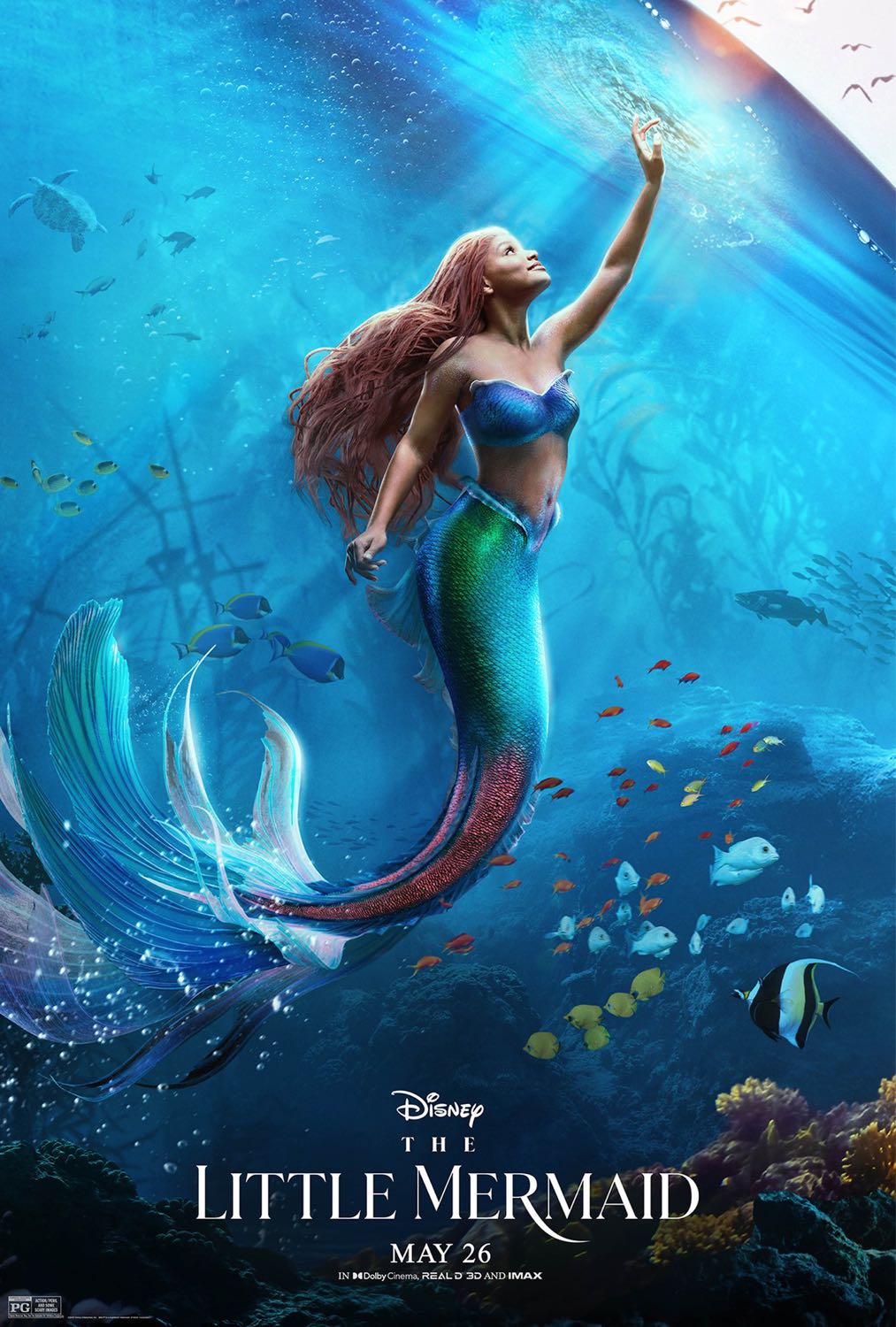 The Little Mermaid (2023) เงือกน้อยผจญภัย